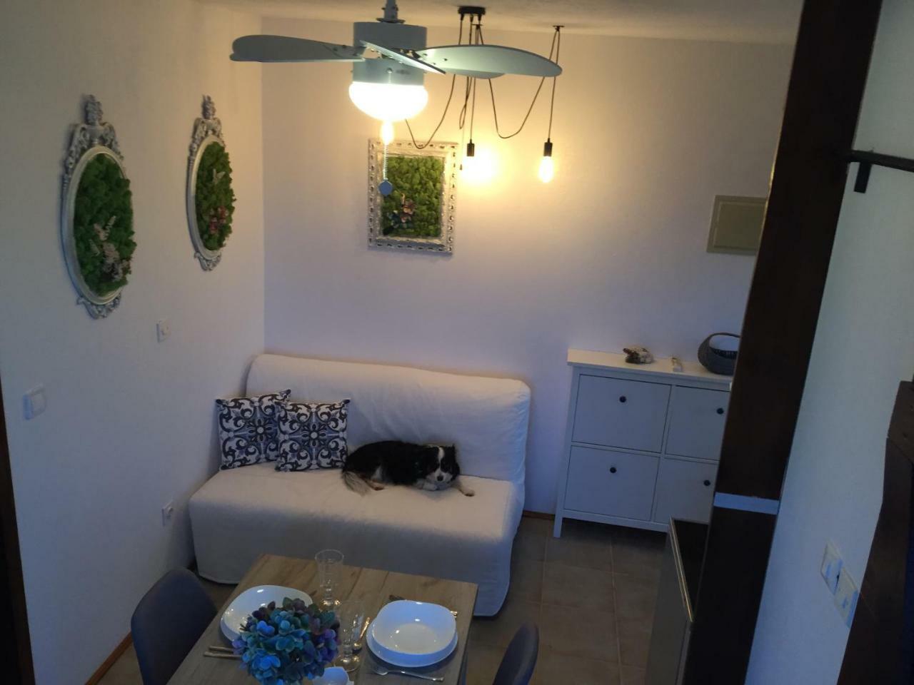 Apartment Boba's House